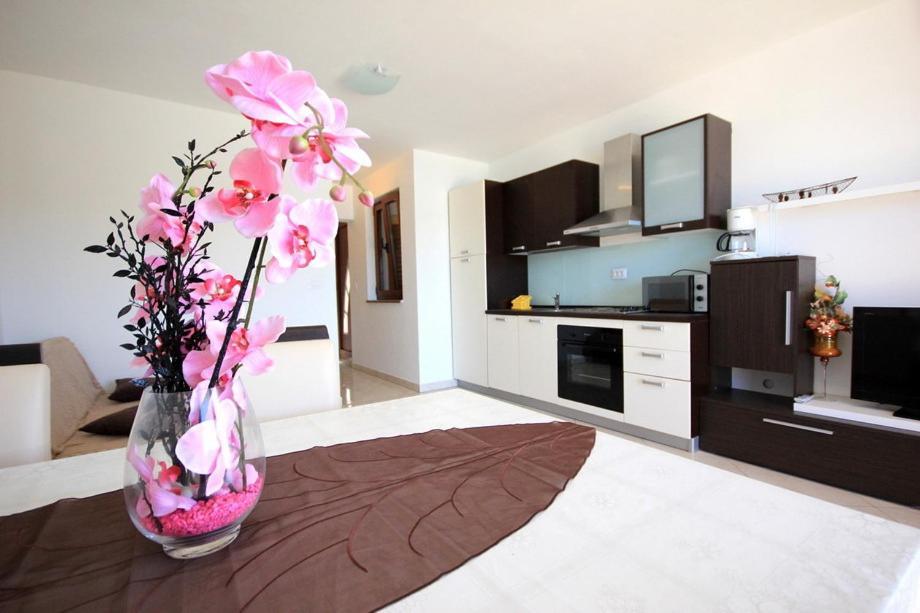 Vila Orada Molat Zimmer foto